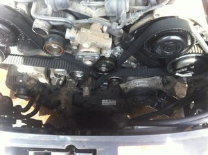 IMG_0196.jpg