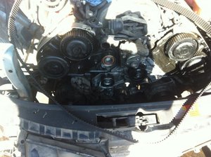 IMG_0203.jpg