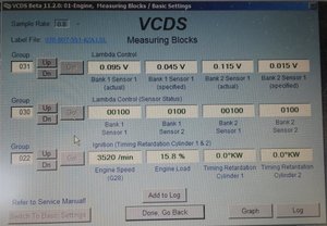 VCDS (030-031).jpg