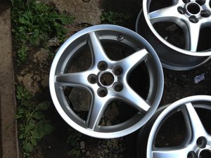 IMG_2388.jpg