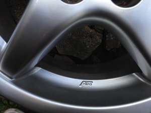 IMG_2392.jpg