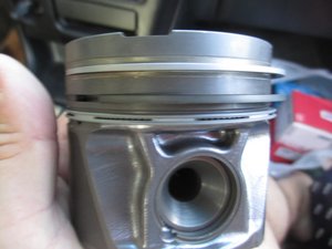 IMG_0378.jpg