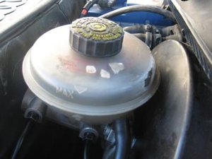 IMG_0763.jpg