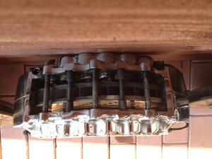 IMG_1421[1].jpg