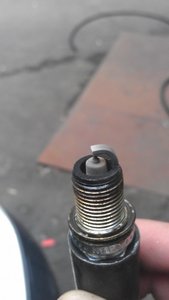 IMAG0837.jpg