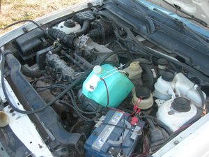 DSCN9245.jpg