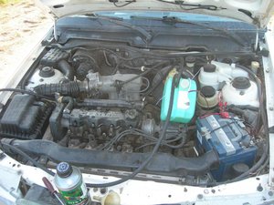 DSCN9243.jpg