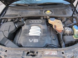 IMG_7233.jpg