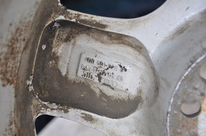 DSC_5925.jpg