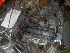 DSCN2966.jpg