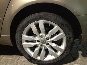 IMG_2313.jpg