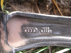 IMG_3095.jpg