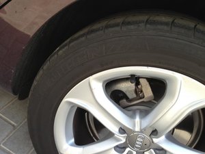 IMG_1215.jpg
