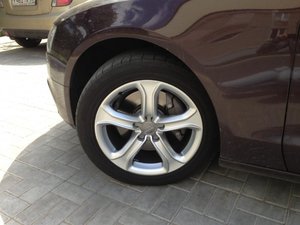 IMG_1214.jpg