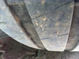 IMG_1617.jpg
