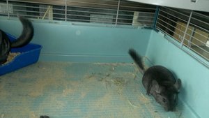 2013-07-10-1019.jpg