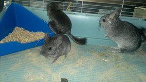 2013-07-10-1030.jpg