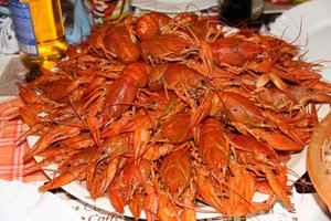 IMG_6392.jpg