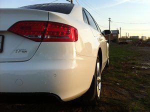 IMG_0373.jpg