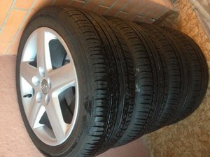 IMG_0517.jpg
