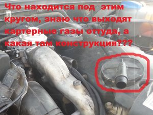 20130717_165542 - копия.jpg