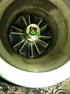 IMG_20130717_135448.jpg