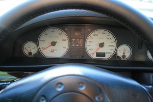 IMG_4076.jpg