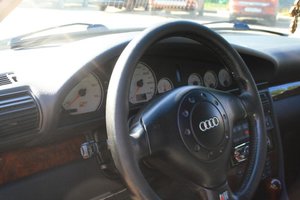 IMG_4080.jpg