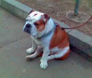 070427_205802+.jpg