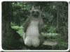 7209451.gif