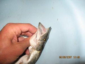 IMG_1491 1.jpg