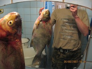 IMG_1487 2.jpg
