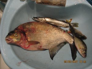 IMG_1489 3.jpg