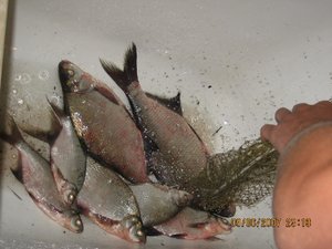 IMG_1602 4.jpg
