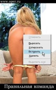 вставить.jpg