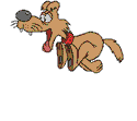 image004.gif