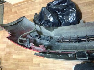 IMG_1532.jpg