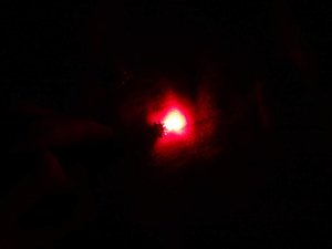 4. 4х3мм свет.jpg