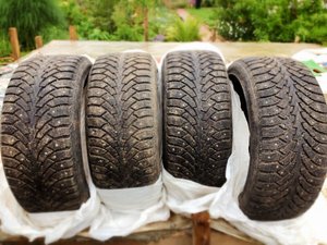 IMG_3549[1].jpg