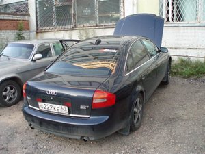 P1010035.jpg
