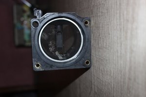 IMG_2039.jpg