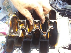 20130810_141445.jpg