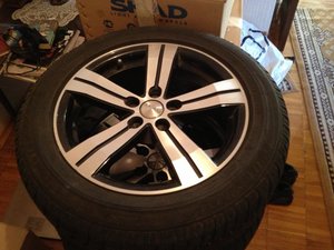 IMG_2720.jpg
