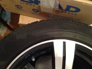 IMG_2723.jpg