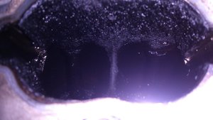 DSC_0183.jpg