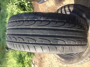 IMG_2568.jpg
