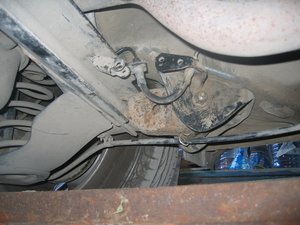 IMG_1130.jpg