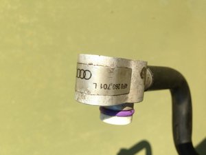 IMG_0815.jpg