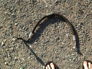 IMG_0813.jpg
