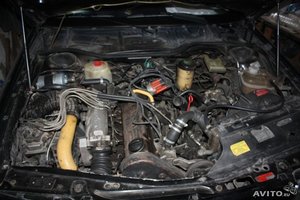 406355340.jpg